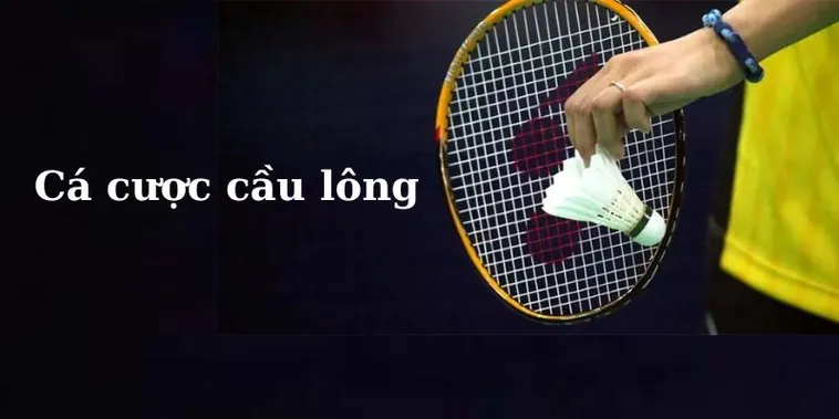 Bật Mí Cách Cược Cầu Lông Tại 566Bet Chắc Thắng 99%