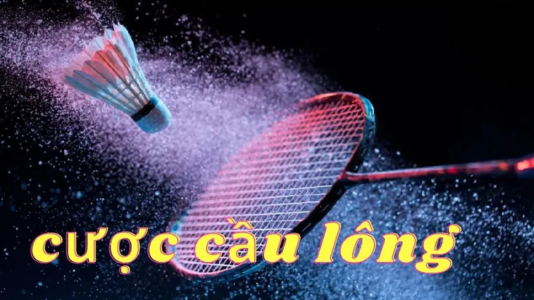 Bật Mí Cách Cược Cầu Lông Tại 566Bet Chắc Thắng 99%