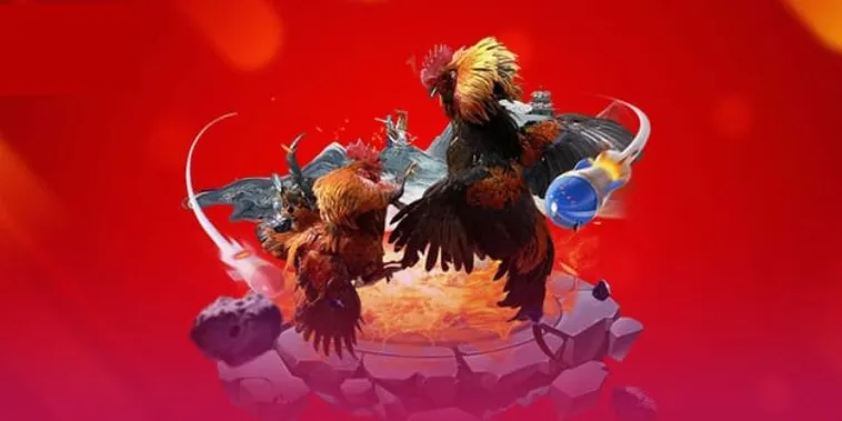 Trải Nghiệm Sảnh Cược Đá Gà 566Bet Kịch Tính Đỉnh Cao Mỗi Ngày